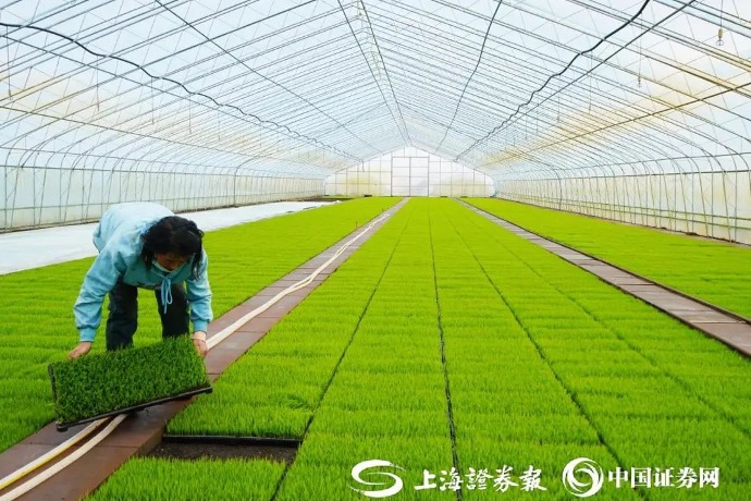 黑土地里藏着多少“黑科技”