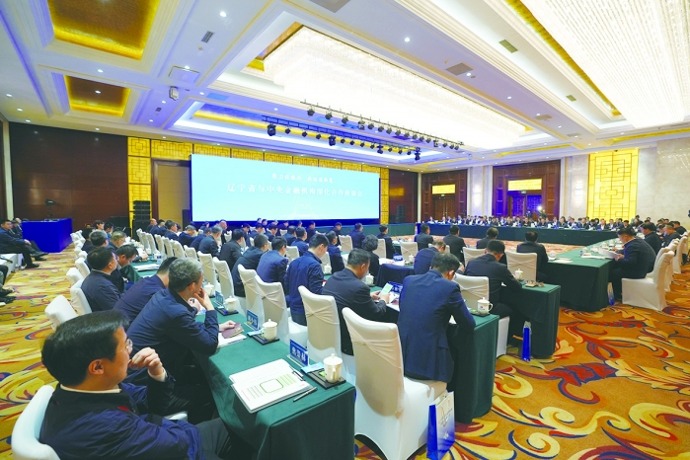 “双向奔赴、携手攻坚” 辽宁省与中央金融机构共谋合作新篇章